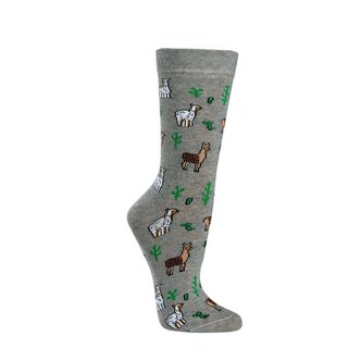 SOCKS4FUN - Dino