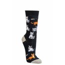 SOCKS4FUN - Hai