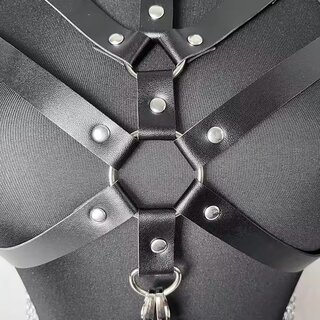 Harness  - 12 - Ruby