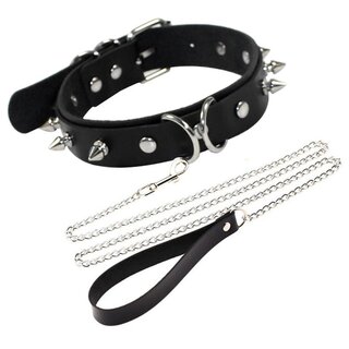 Halsband - Nieten, D-Ringe und Leine