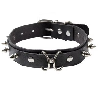 Halsband - Nieten, D-Ringe und Leine
