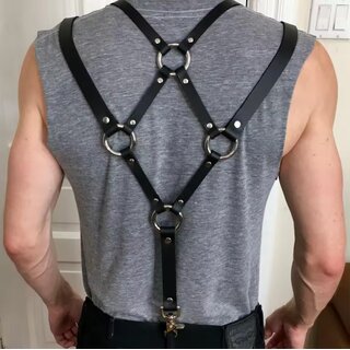 Harness - Suspender