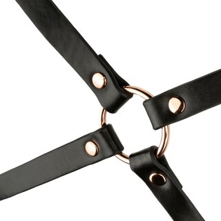 Rosy Gold - Harness