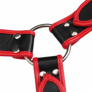 Harness - Brustharness schwarz/rot