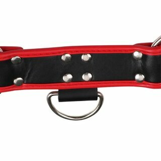 Harness - Brustharness schwarz/rot