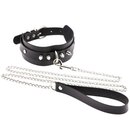 Halsband - Nieten, D-Ringe und Leine