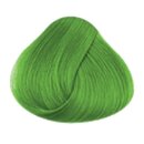 La Riché - Directions - Haartönung Spring green