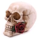 Totenkopf mit Rose